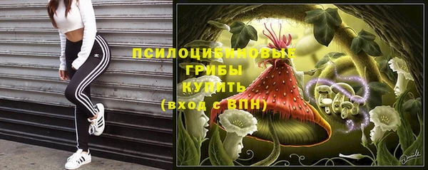 спайс Белокуриха