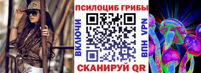 Псилоцибиновые грибы GOLDEN TEACHER  дарнет шоп  Велиж 